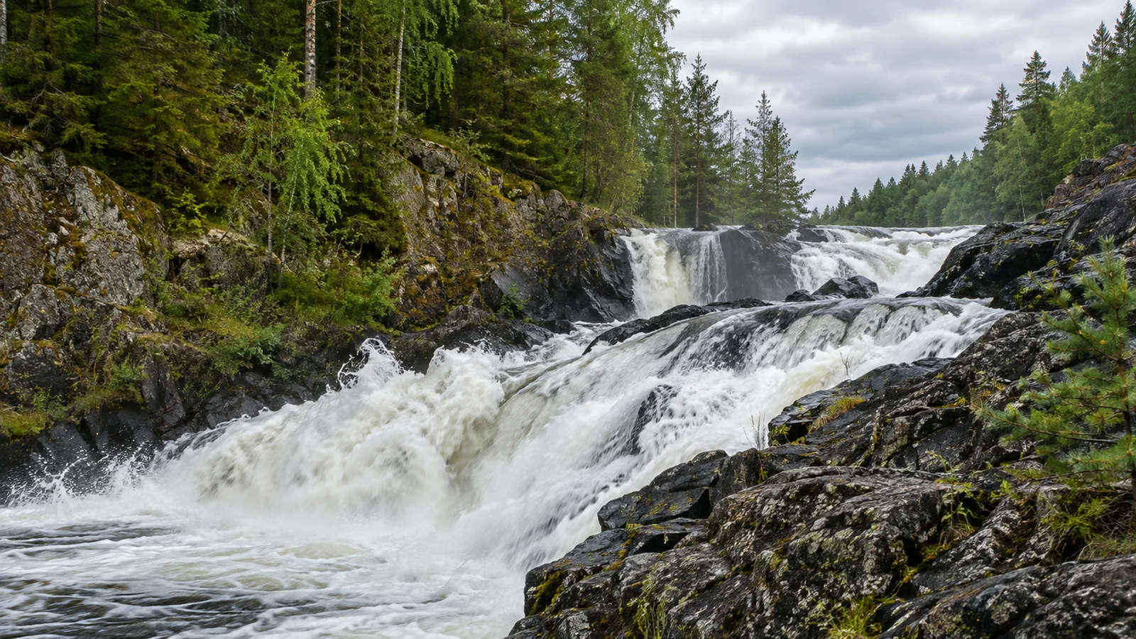 ПРН 1000291 Карелия — белая вода Кивача