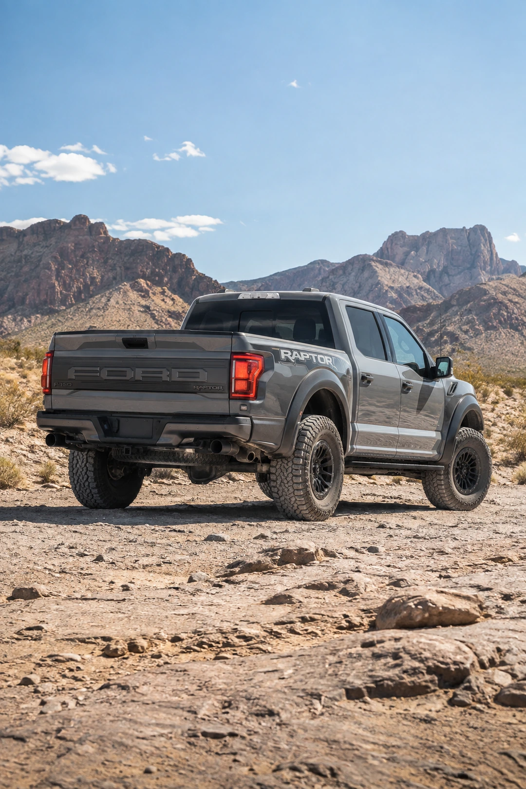 АВТО 1008855 Ford F-150 Raptor