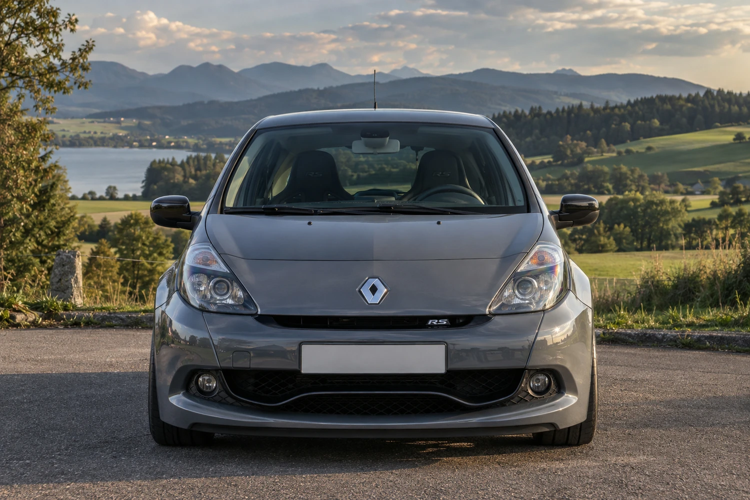 АВТО 1007374 Renault Clio RS III серый свет на лугах